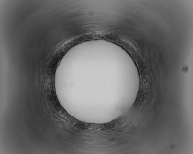 X0000099930773200806201056