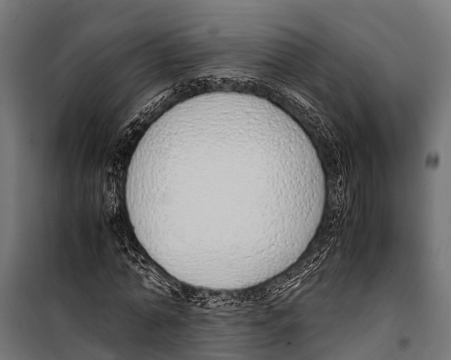 X0000099930774200806201056