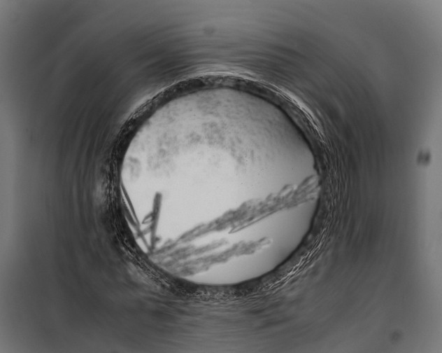 X0000099930775200806201056