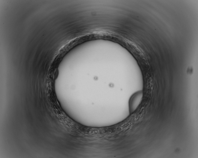 X0000099930776200806201056