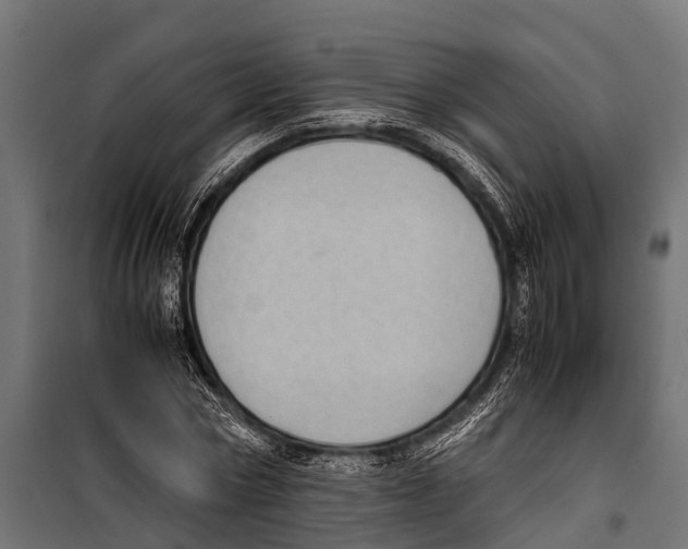 X0000099930778200806201056