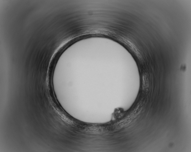 X0000099930780200806201056