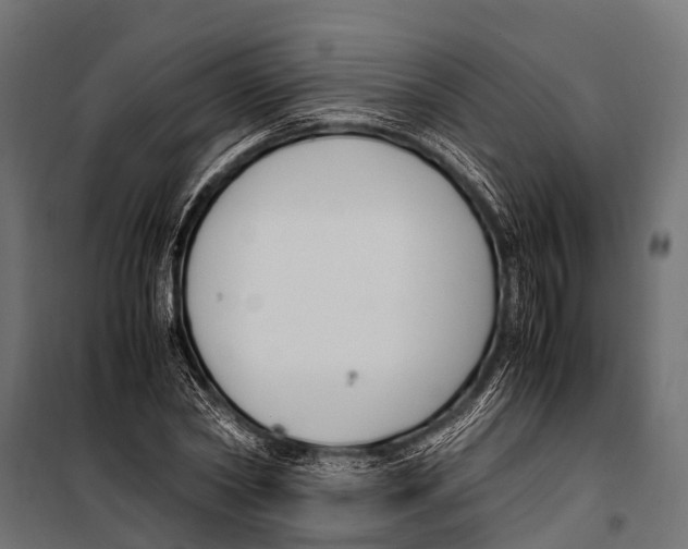 X0000099930782200806201056