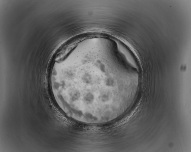 X0000099930783200806201056