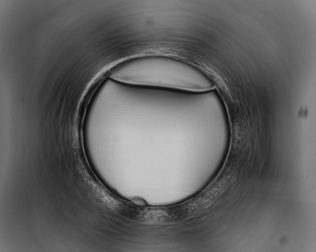 X0000099930784200806201056