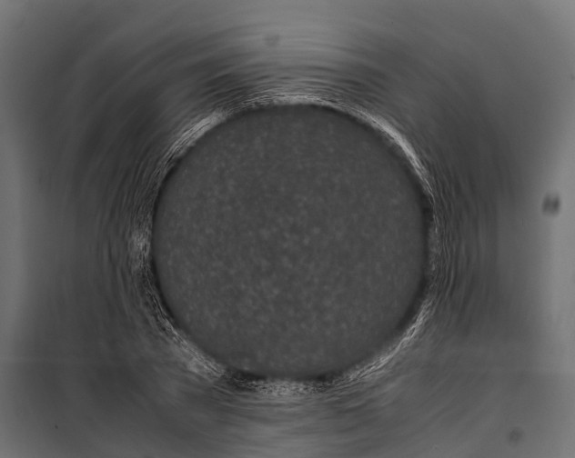 X0000099930785200806201056