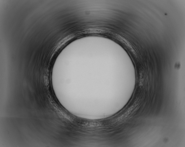 X0000099930786200806201056