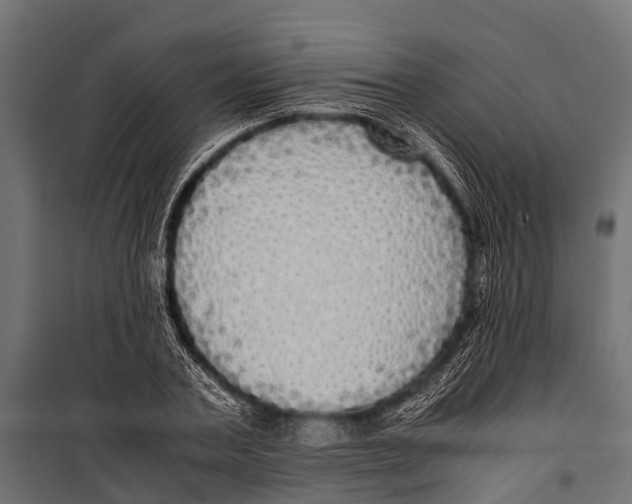 X0000099930787200806201056