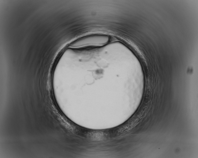 X0000099930791200806201056