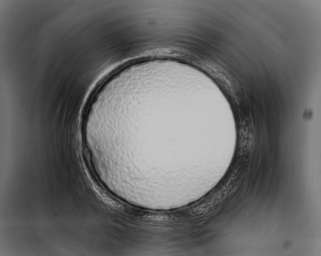 X0000099930792200806201056