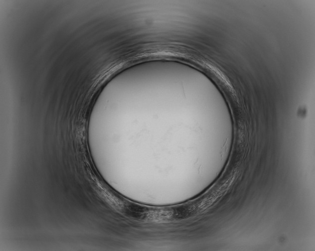 X0000099930793200806201056