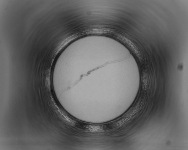 X0000099930794200806201056