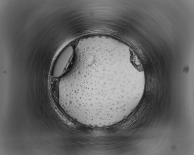 X0000099930796200806201056