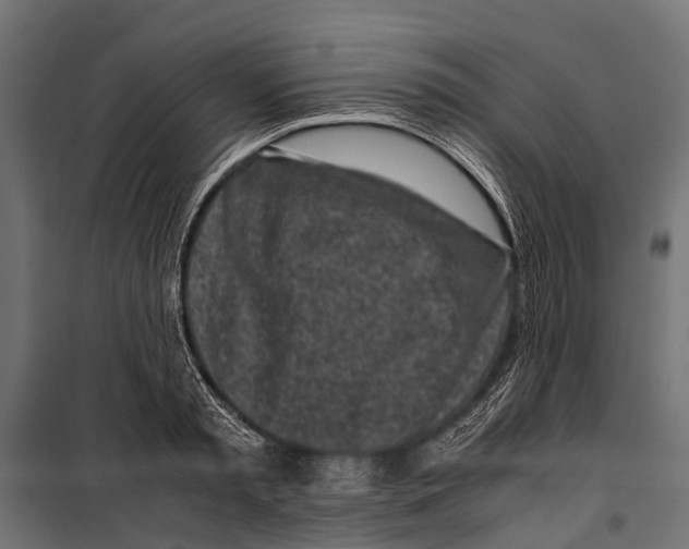 X0000099930797200806201056