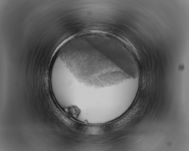 X0000099930798200806201056