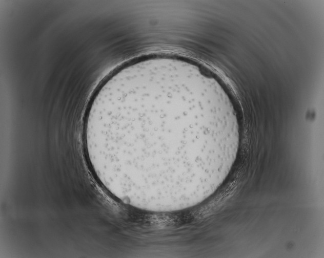 X0000099930799200806201056