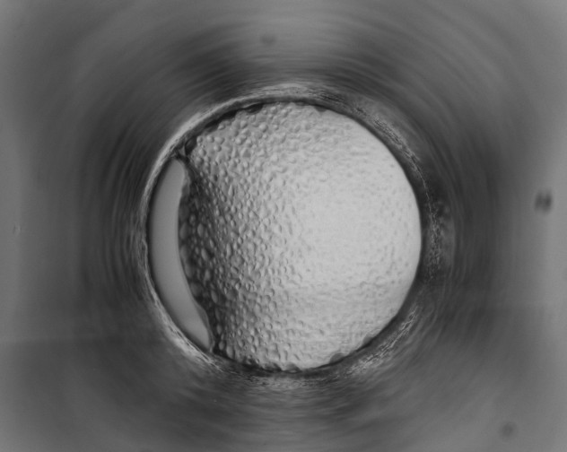 X0000099930800200806201056