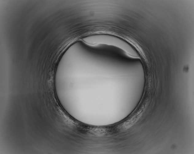 X0000099930801200806201056