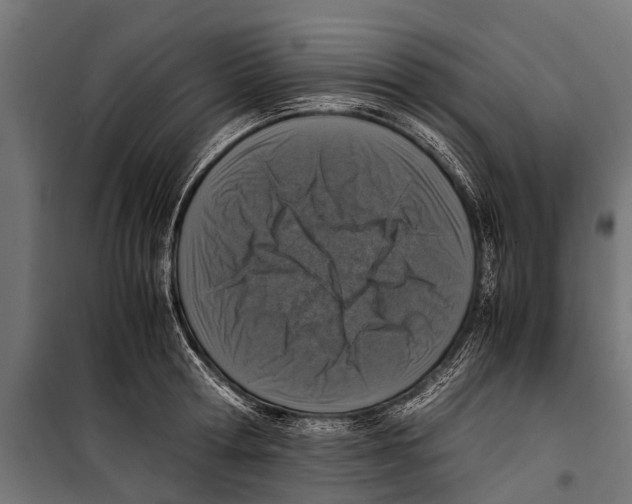 X0000099930802200806201056