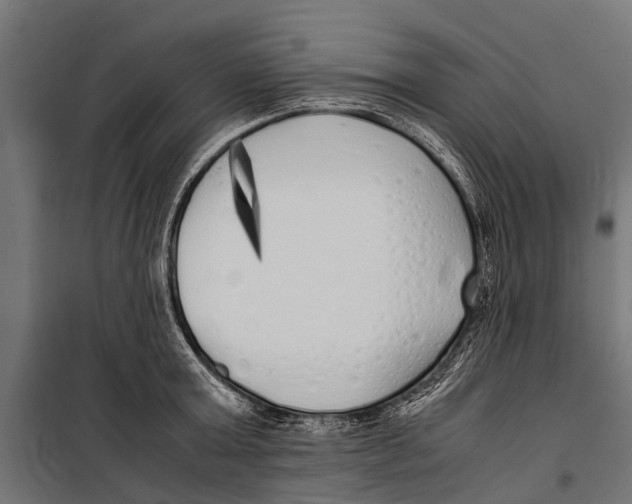 X0000099930803200806201056