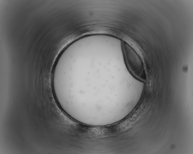 X0000099930805200806201056