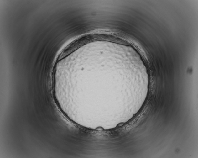 X0000099930808200806201056