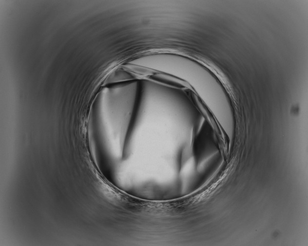 X0000099930809200806201056