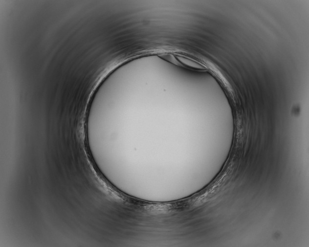 X0000099930810200806201056