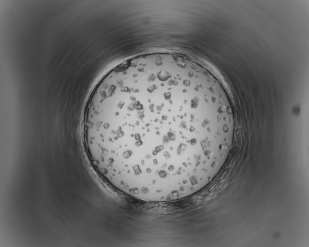 X0000099930811200806201056