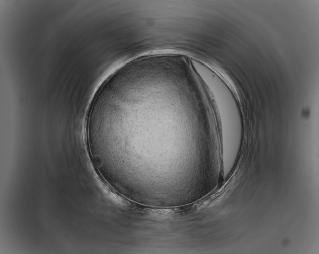 X0000099930813200806201056