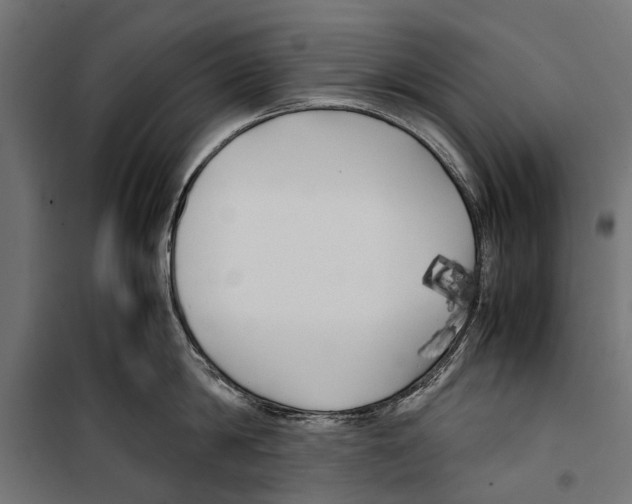 X0000099930814200806201055