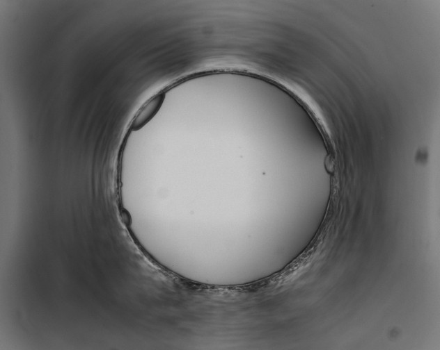 X0000099930815200806201055