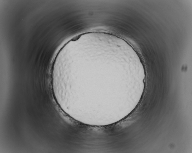 X0000099930816200806201055