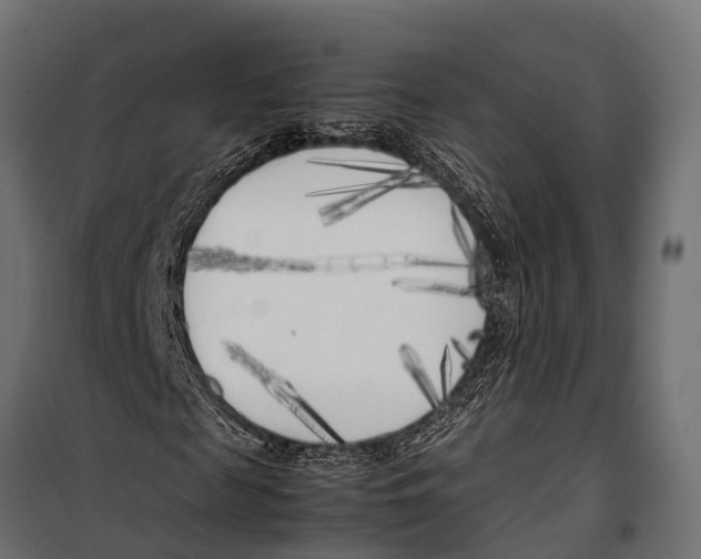 X0000099930817200806201055