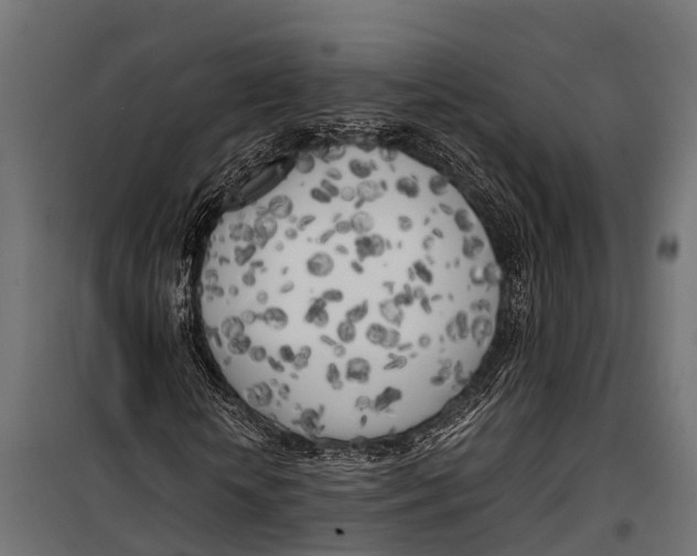 X0000099930818200806201055