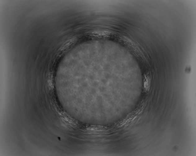 X0000099930819200806201055