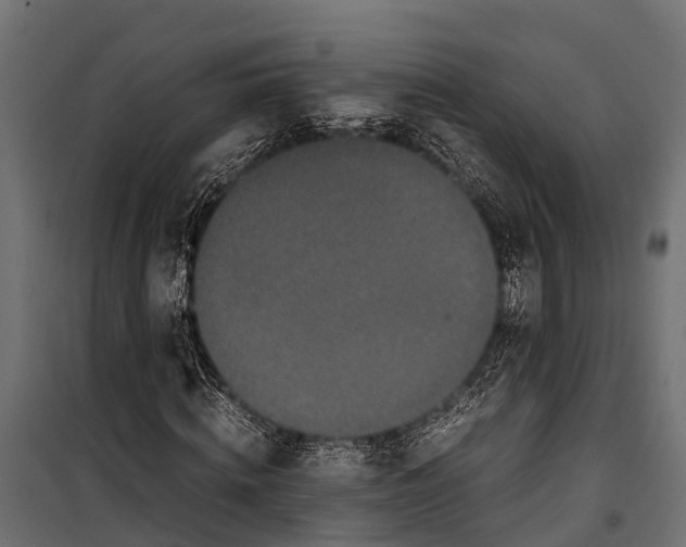 X0000099930820200806201055