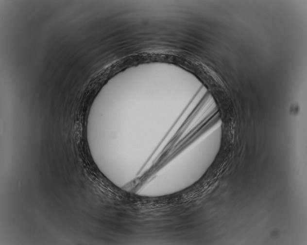 X0000099930821200806201055