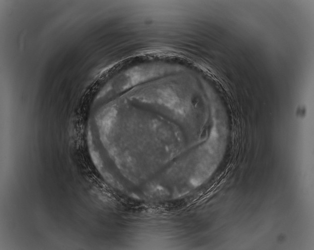 X0000099930822200806201055