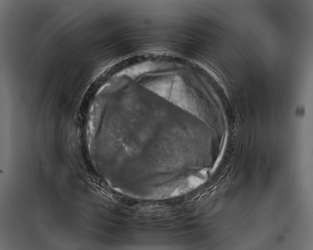 X0000099930823200806201055