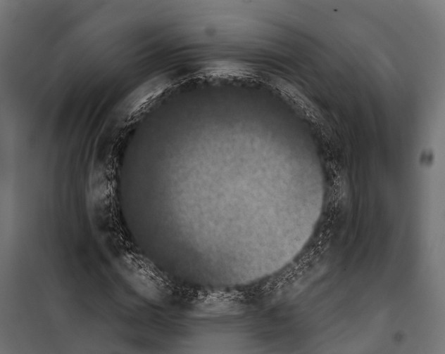 X0000099930824200806201055