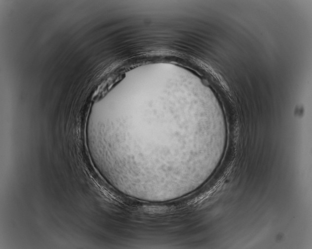 X0000099930825200806201055