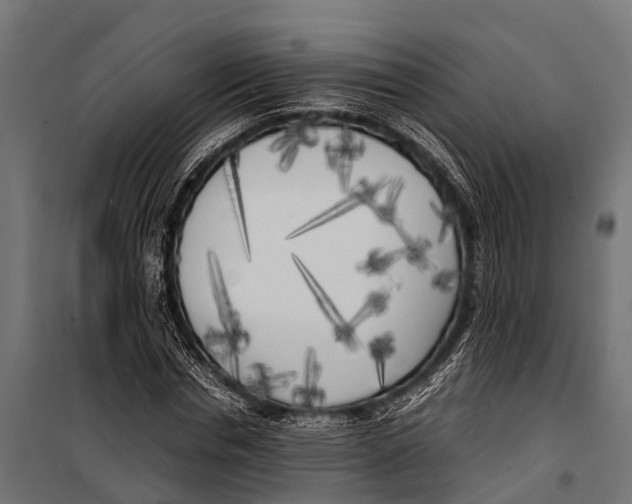 X0000099930826200806201055