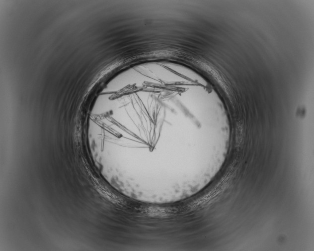 X0000099930827200806201055