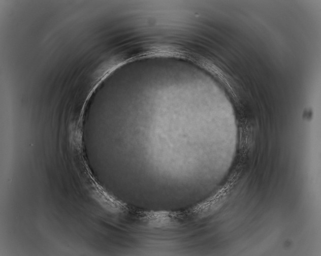 X0000099930828200806201055