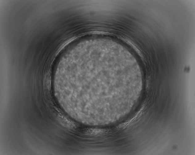 X0000099930829200806201055