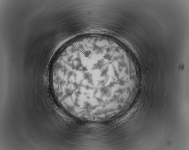 X0000099930830200806201055