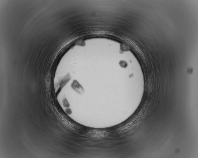 X0000099930831200806201055