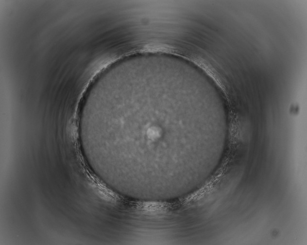 X0000099930832200806201055