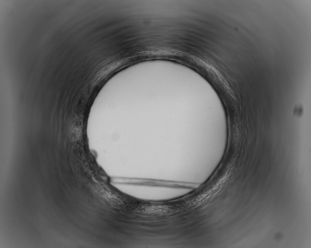 X0000099930833200806201055